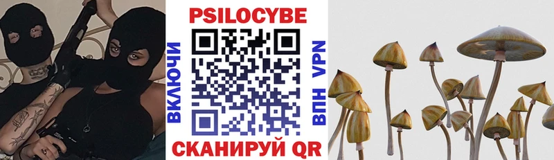 Галлюциногенные грибы Psilocybe  Купить  Каменск-Шахтинский 